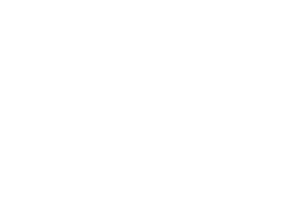 vsafe-logo-white