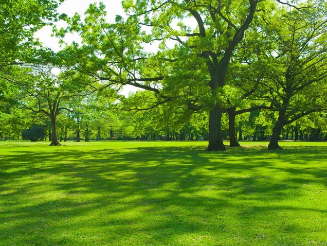 Progetti_corretti_Pagina_1_Immagine_0002